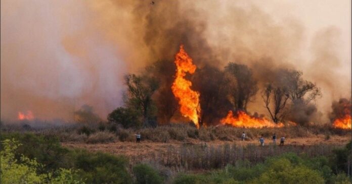 Buscan limitar el uso privado y comercial de las tierras afectadas por los incendios forestales