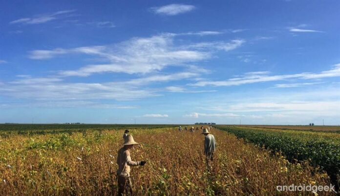 Equipamento Huawei 5G ajuda produtores de soja a combater doenças em plantações no Brasil