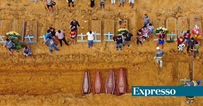 “O Brasil perdeu o controlo da pandemia e é uma bomba relógio para o mundo. A comunidade internacional deve intervir”