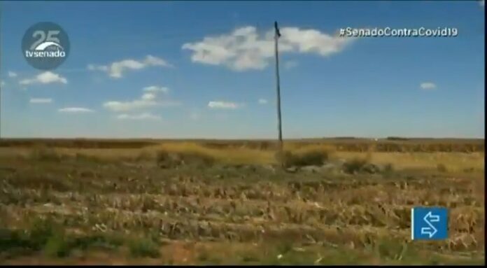 Vídeo: Projeto de regularização fundiária divide opiniões em debate na Comissão de Agricultura