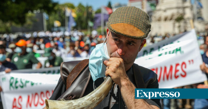 “O PAN é um dos nossos alvos”: mundo rural promete falar a “uma só voz a partir de agora”