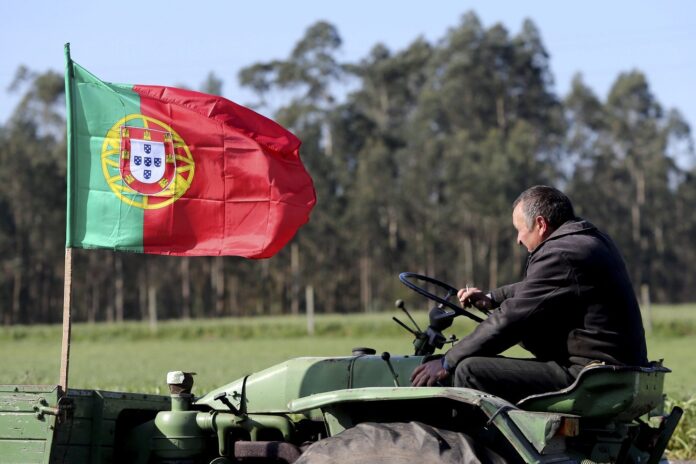 Agricultores manifestam-se em Lisboa contra a política de preços baixos à produção