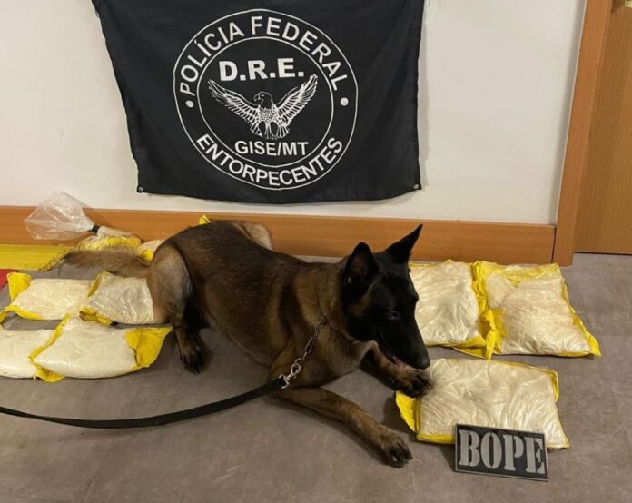 IMG-20230721-WA0123(1)