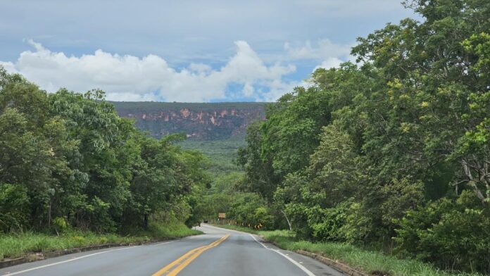 MT-251 Estrada para Chapada - foto Camilla Zeni SecomMT