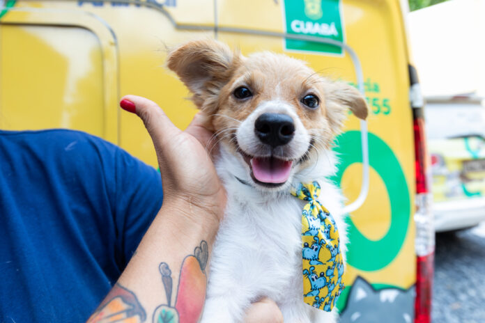 2025-03-19-14-41-088a2108-67db0fe5c2226