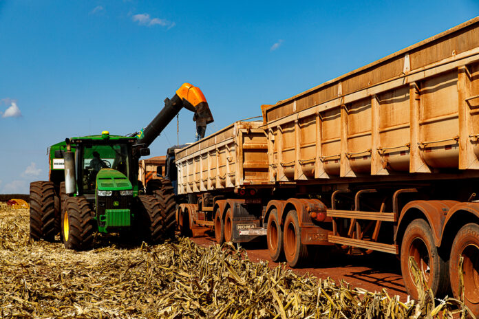 51266506103_452c983829_o