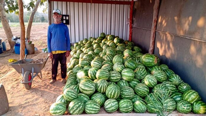 c5aa6aa3c3446068ece7f73c90649cfe