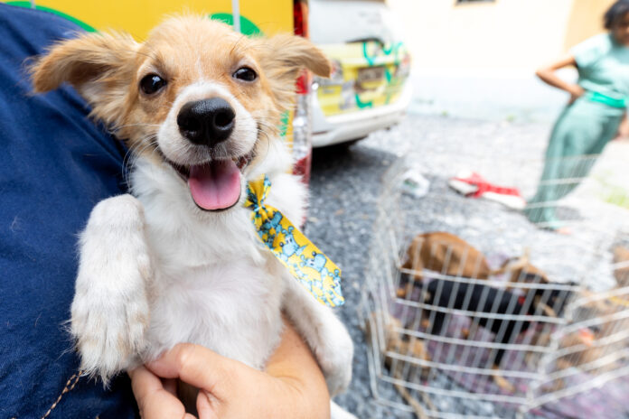 2025-03-19-14-41-088a2119-67db0fe21575b