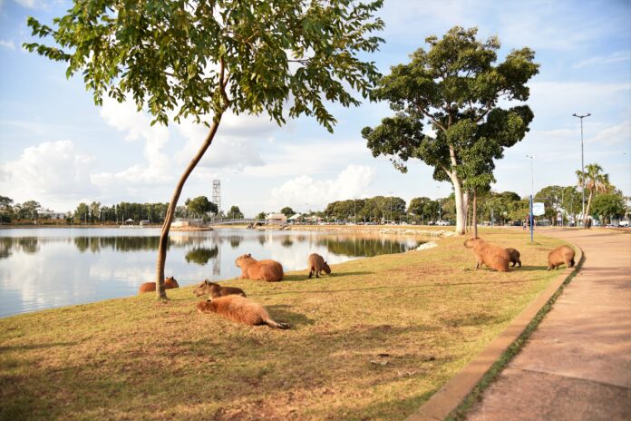 07439d4e18b5620677f565ba6c927b31