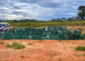 Polícia Militar registra aumento de 82% nas apreensões de drogas em um ano do programa Tolerância Zero