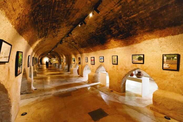 2025-05-09-12-14-img-2116-681e29fa4998f