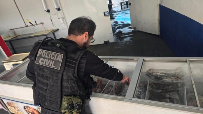 WhatsApp Image 2025-12-09 at 15.28.27