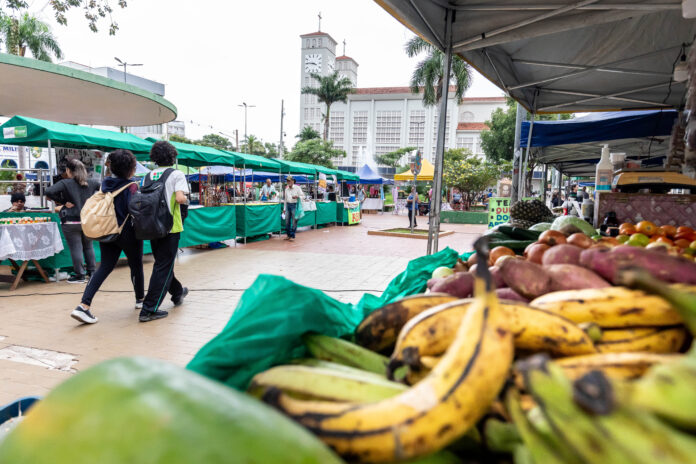 2025-06-09-17-27-imgl5665-684751b9c9e38