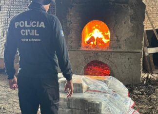 Polícia Civil incinera meia tonelada de drogas apreendidas em Comodoro